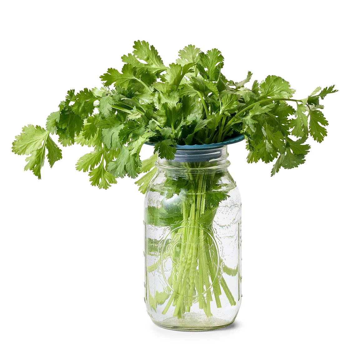 Produce Keepers - Set of 2 - Image 7