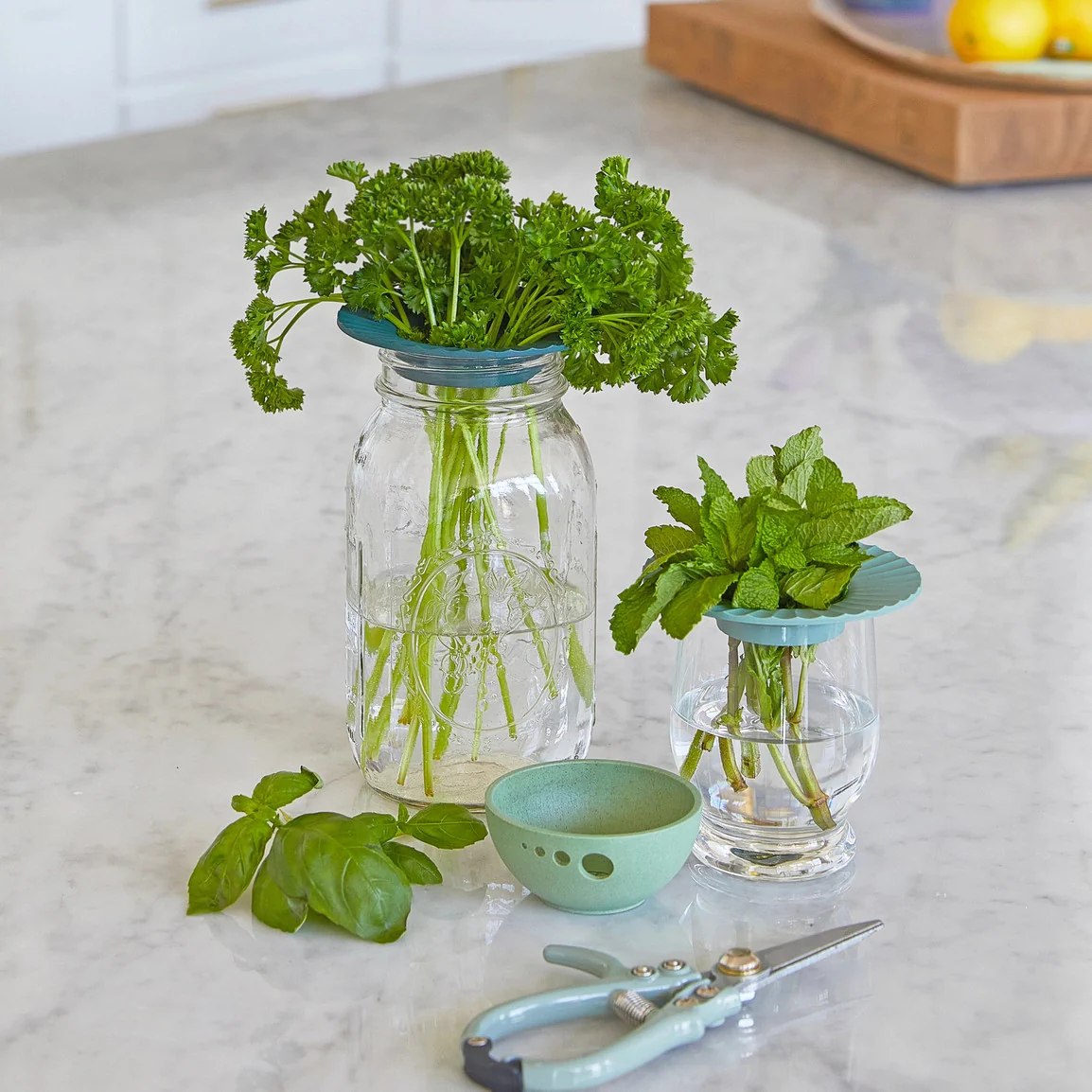 Produce Keepers - Set of 2 - Image 8