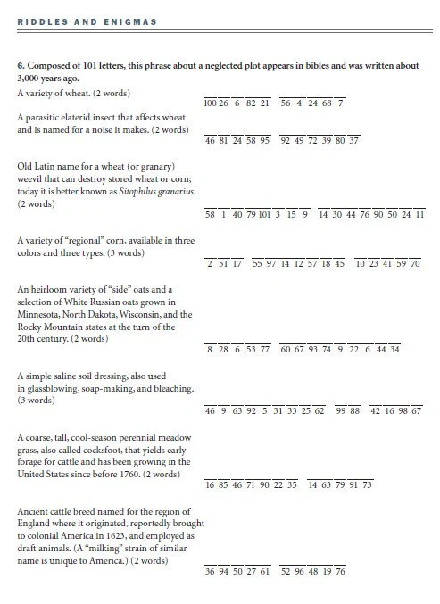 Puzzles & Pleasantries - eBook - Image 11