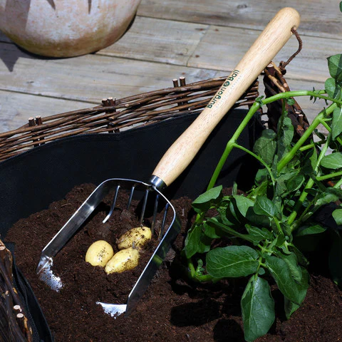 RHS Mid Handled Potato Scoop - Image 2