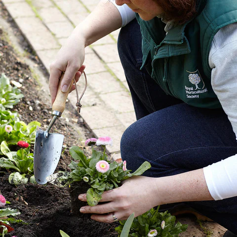 RHS Stainless Hand Trowel - Image 2