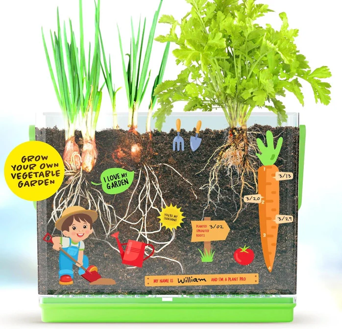 Root Viewer for Kids - Image 5