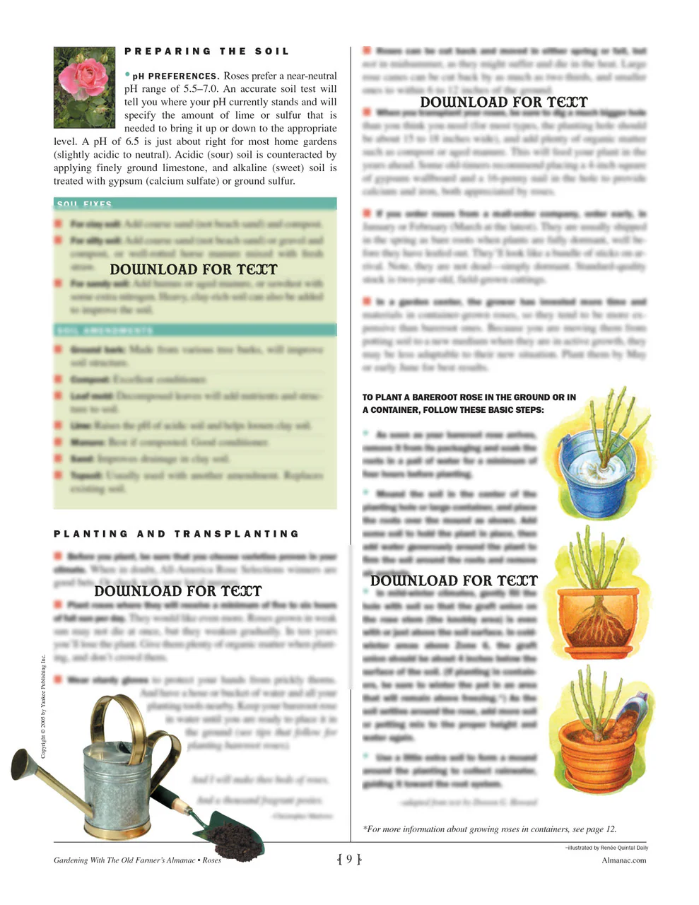 Printable PDF - Rose Guide - Image 4