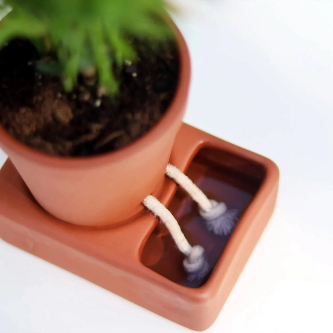 Self Care Planter - Image 2