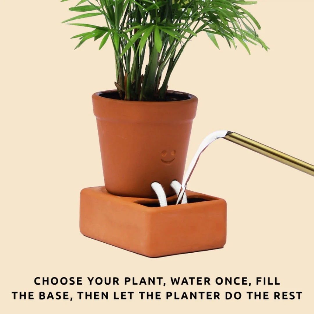 Self Care Planter - Image 3