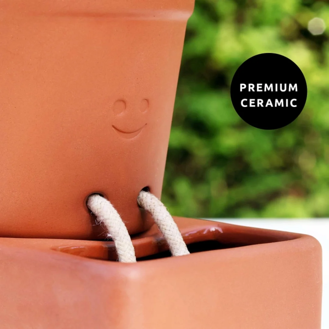 Self Care Planter - Image 4
