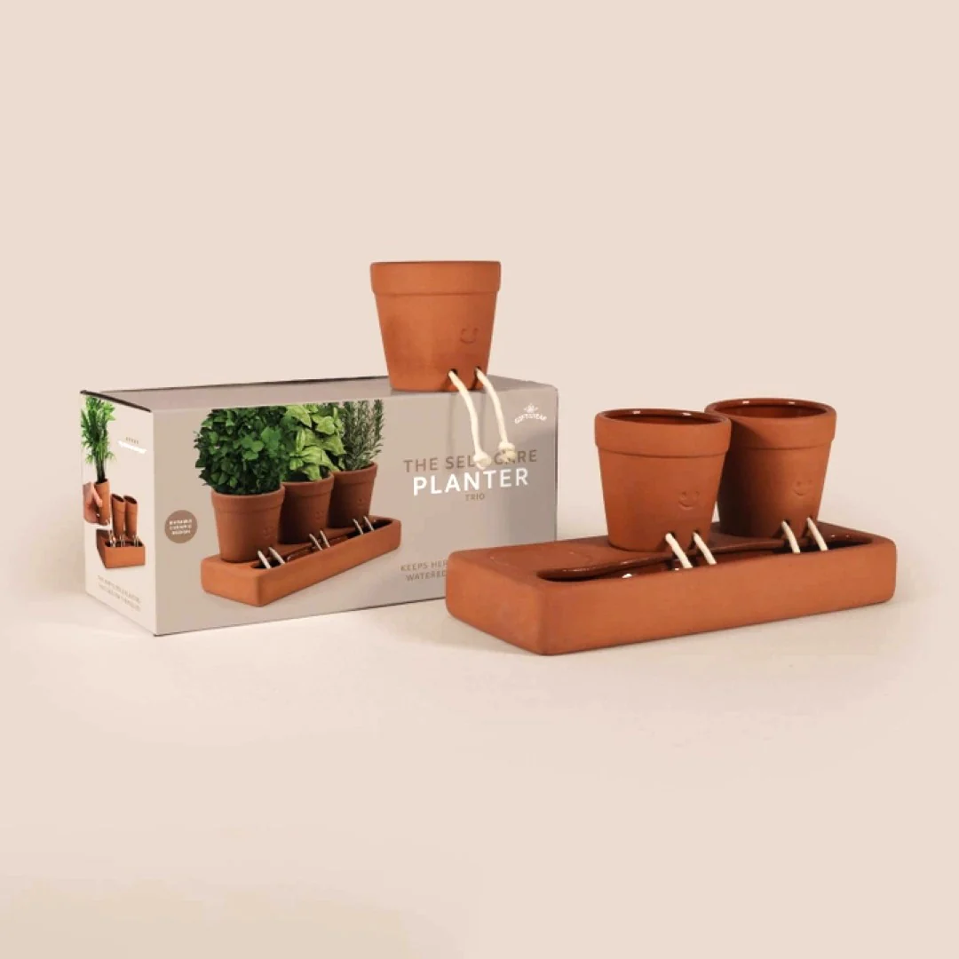 Self Care Planter Trio - Image 2