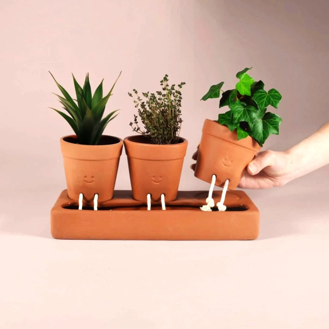 Self Care Planter Trio - Image 4