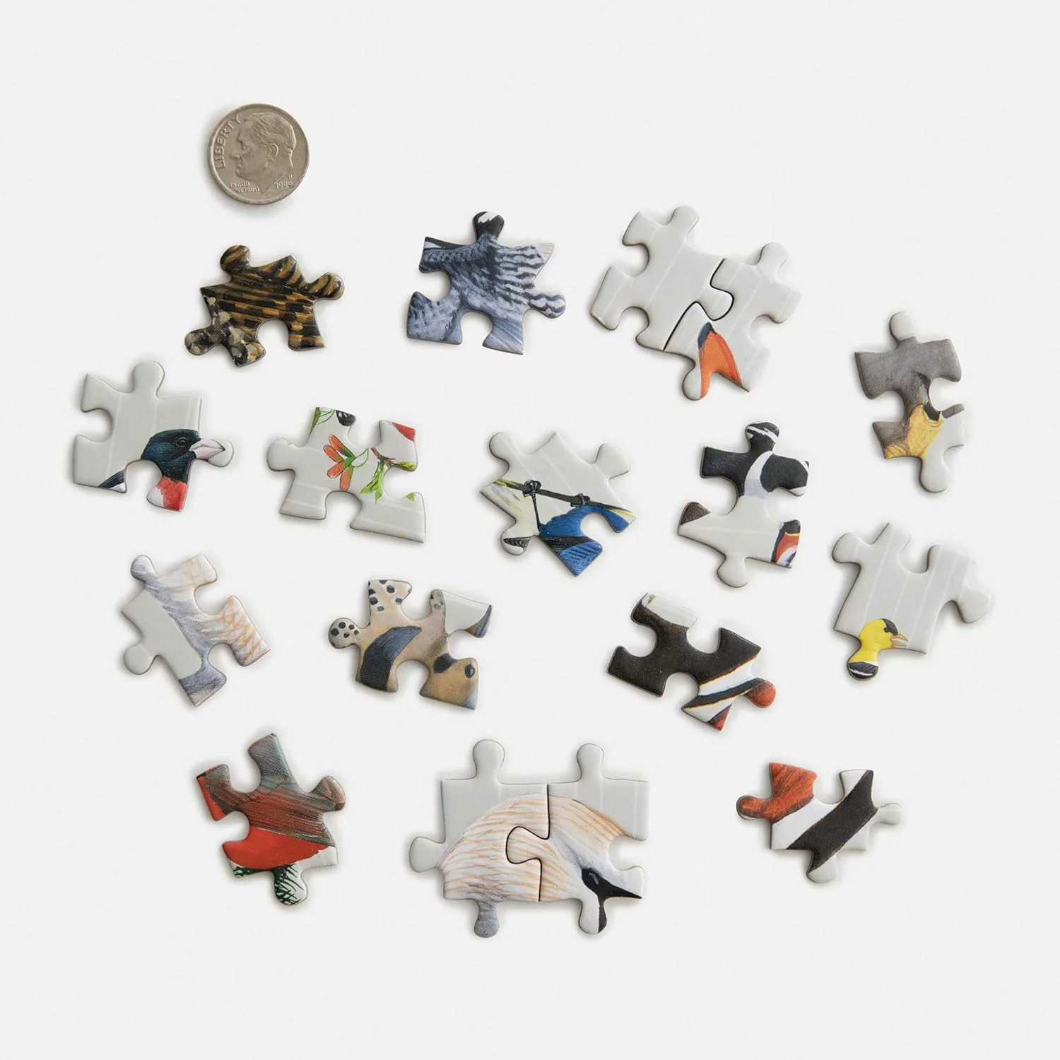 Sibley Backyard Birding Puzzle - Image 3