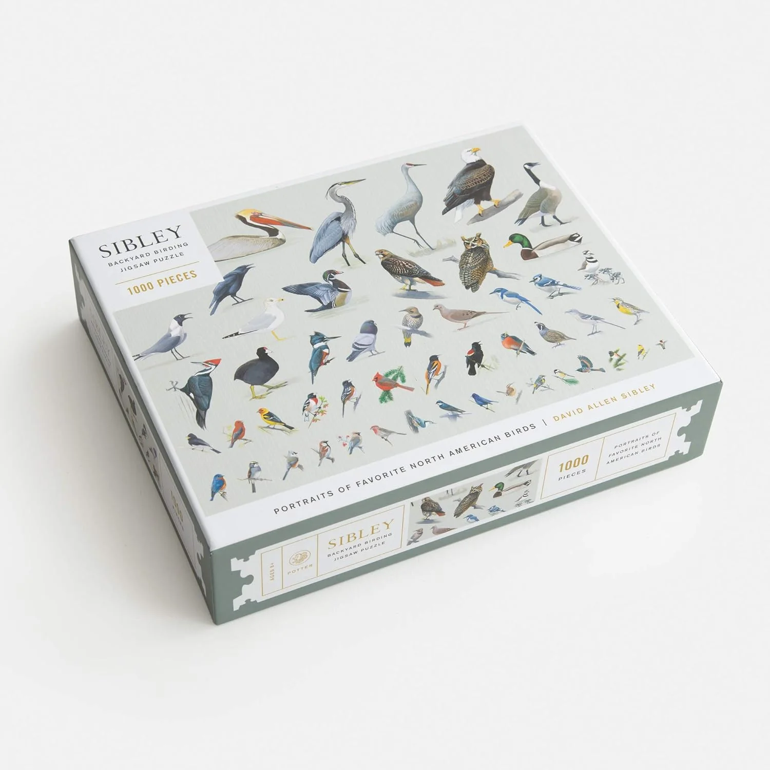 Sibley Backyard Birding Puzzle - Image 4
