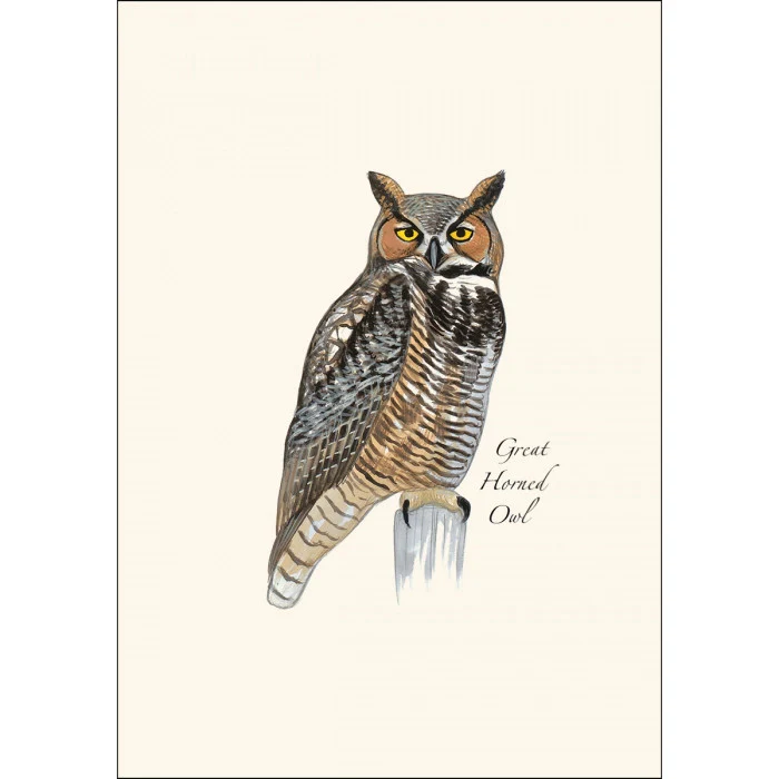 Sibley Owl Notecard Assortment - Image 2