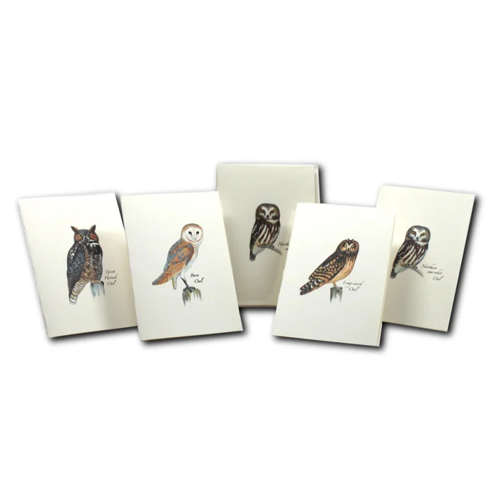Sibley Owl Notecard Assortment - Image 5