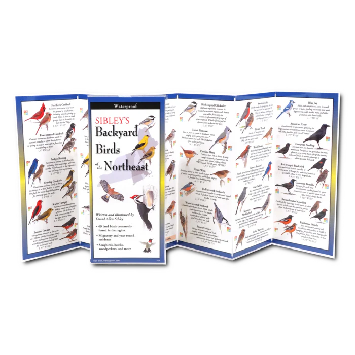 Sibley’s Backyard Birds of the Northeast, Folding Guide - Image 2