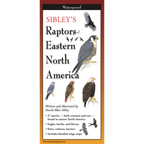 Sibley’s Raptors of Eastern North America, Folding Guide
