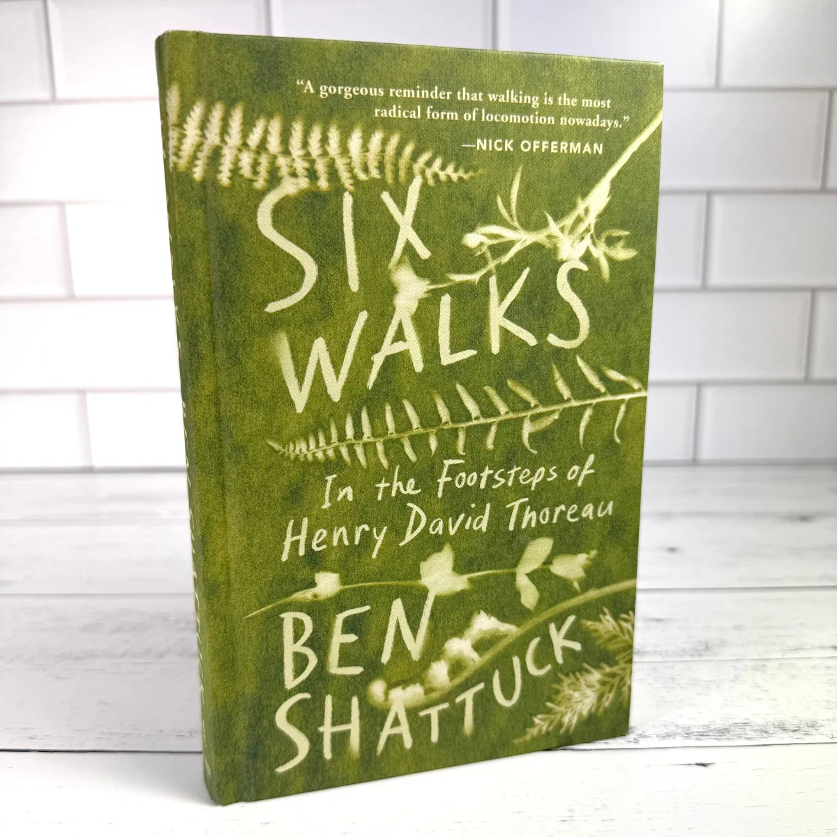 Six Walks: In the Footsteps of Henry David Thoreau - Image 4