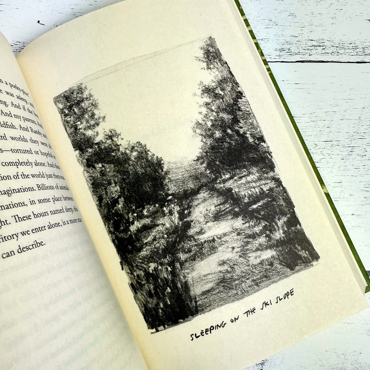 Six Walks: In the Footsteps of Henry David Thoreau - Image 5