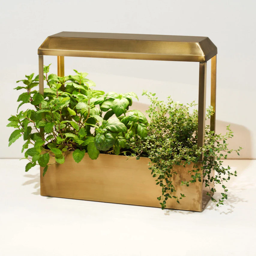 Smart Growhouse - Brass - Image 2