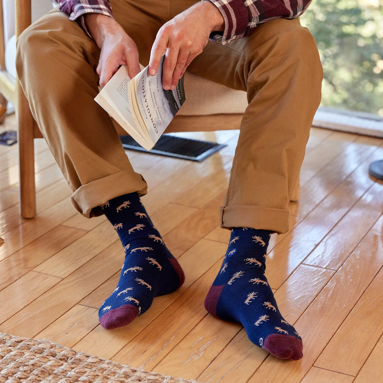 Socks that Protect Moose - Image 3
