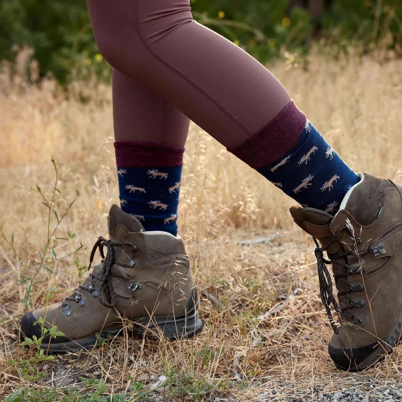 Socks that Protect Moose - Image 4