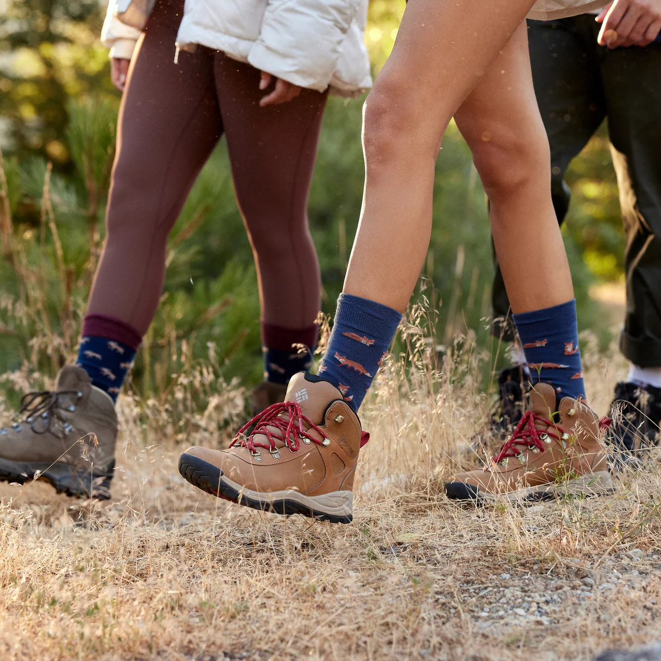 Socks that Protect National Parks Gift Box - Image 3