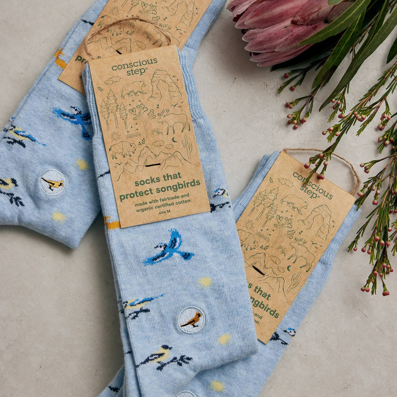 Socks that Protect Songbirds - Image 3