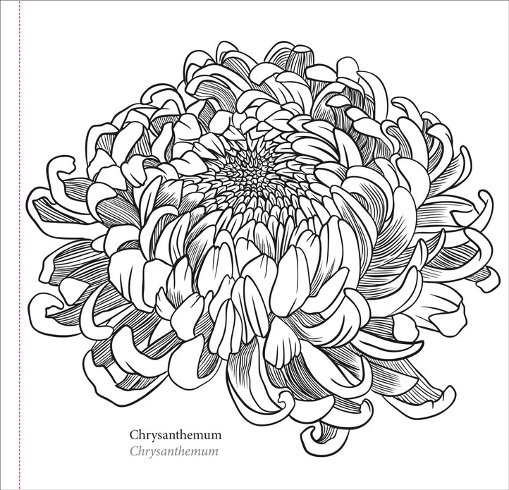 Spring Blooms Coloring Book - Image 2