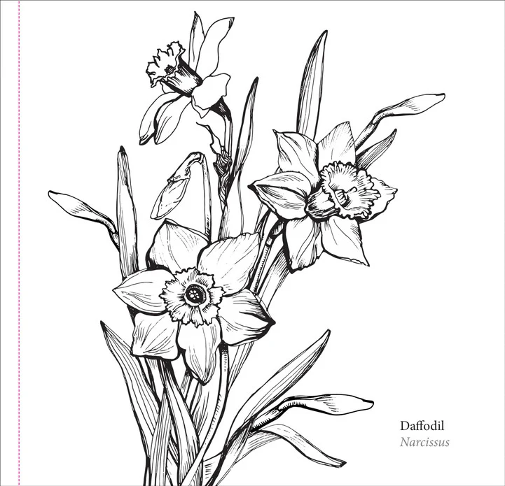 Spring Blooms Coloring Book - Image 5