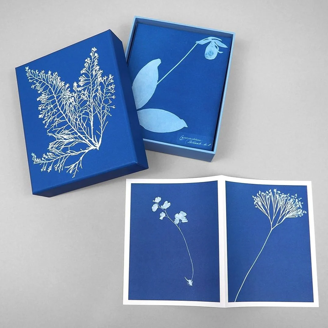 Sunprint Notecards - Image 3