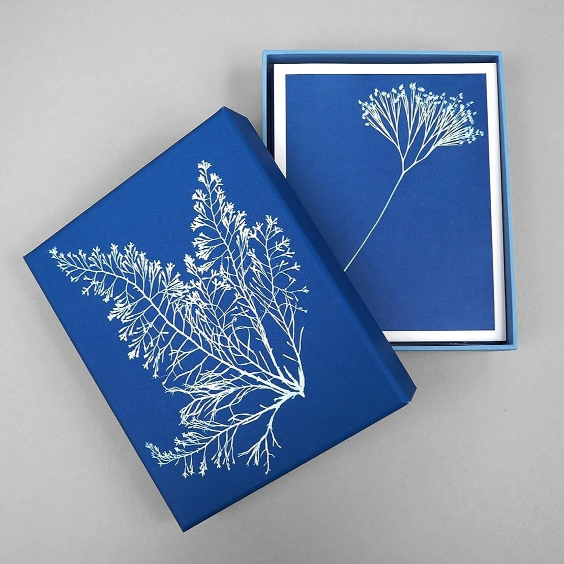 Sunprint Notecards - Image 4
