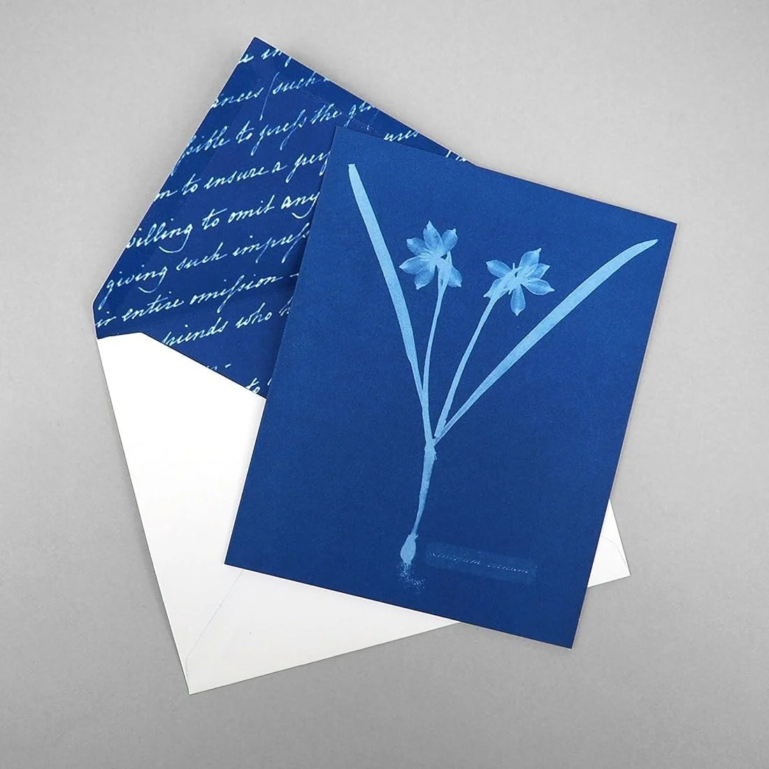 Sunprint Notecards - Image 6