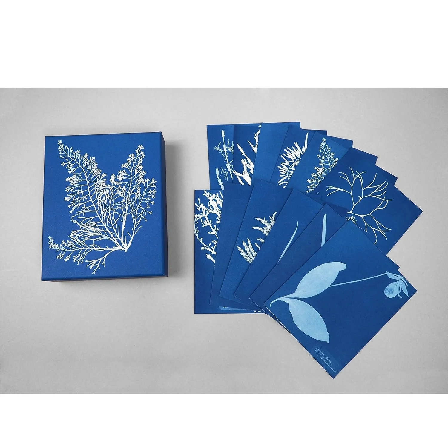 Sunprint Notecards - Image 7