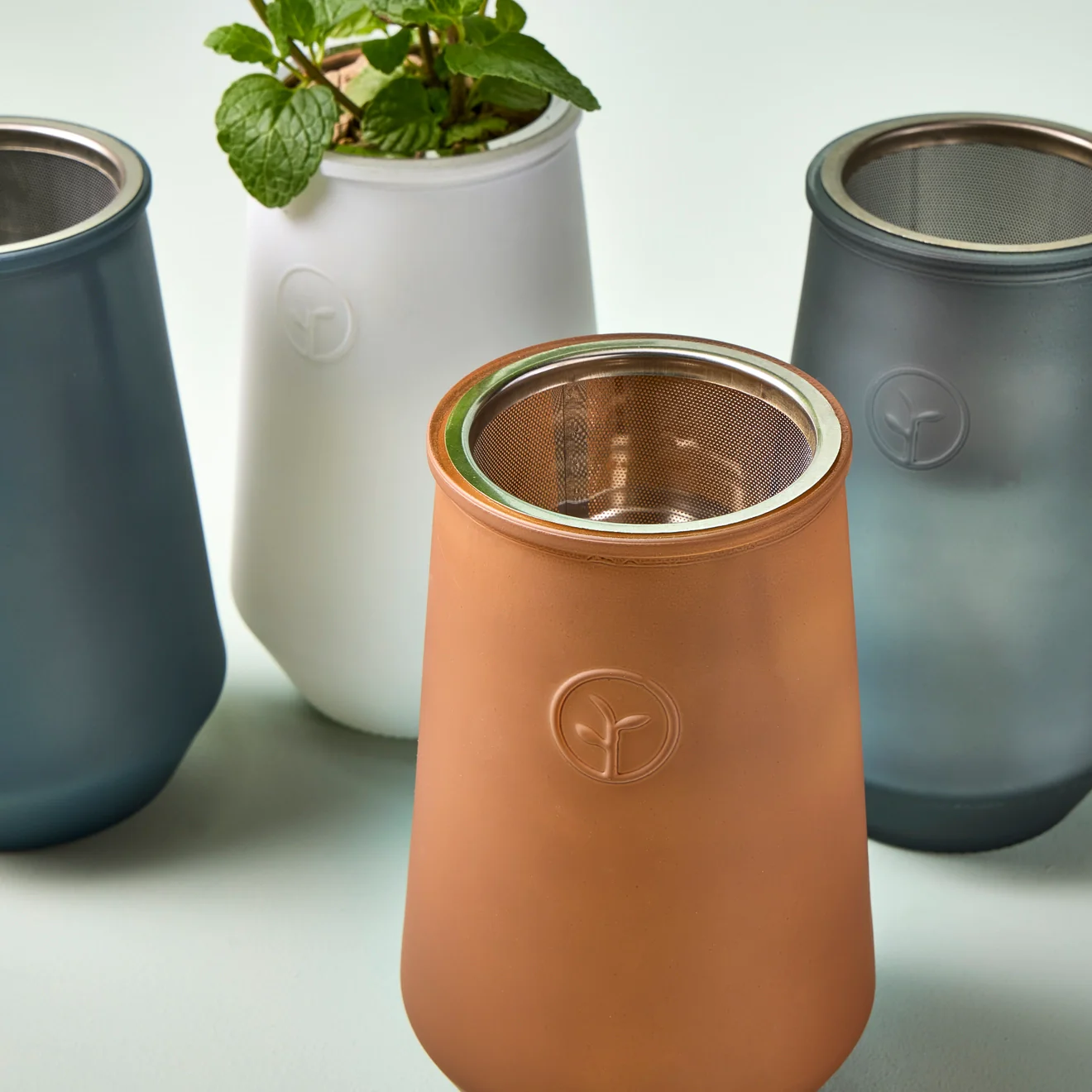 Tapered Tumbler Herb Grow Kit - Image 2