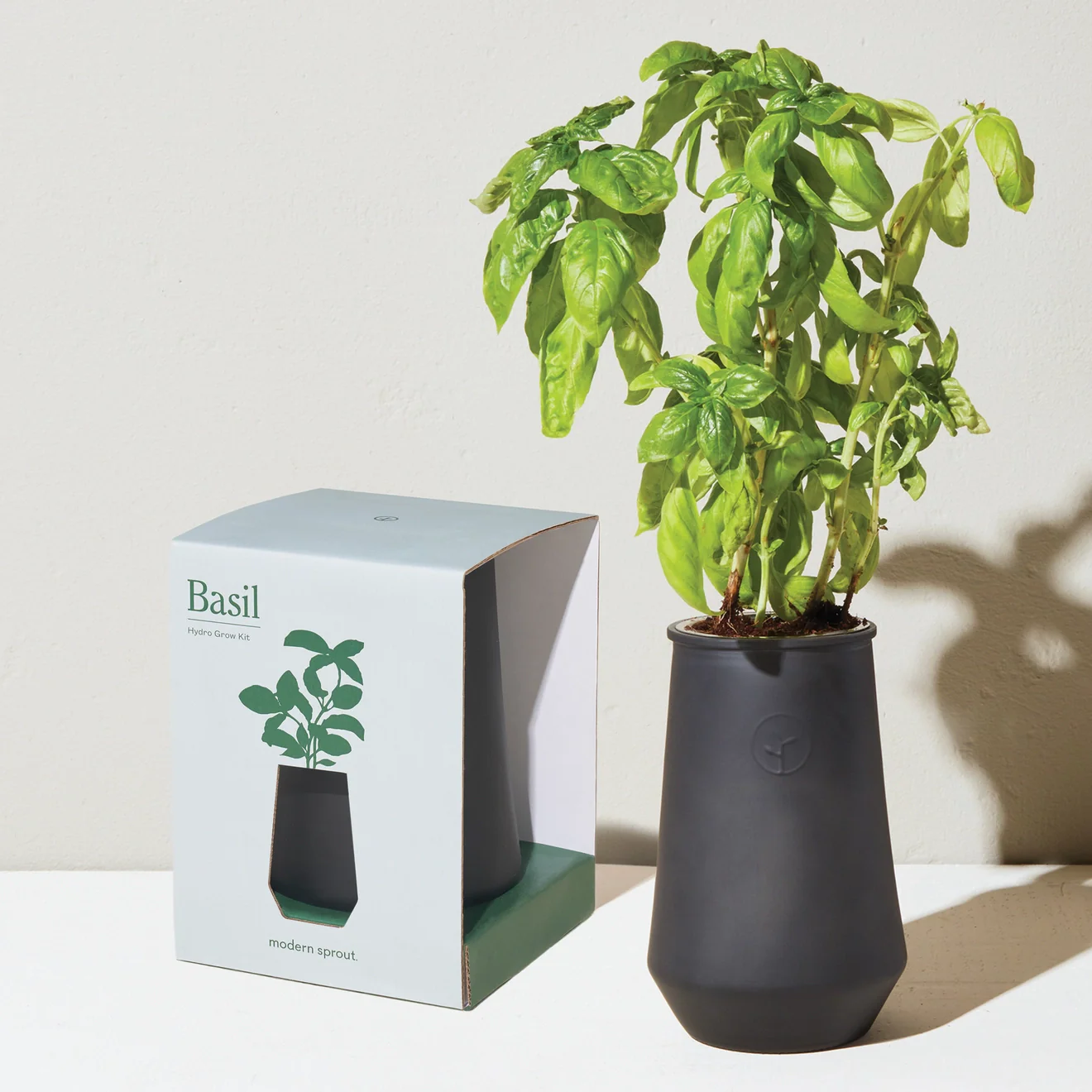 Tapered Tumbler Herb Grow Kit - Image 6