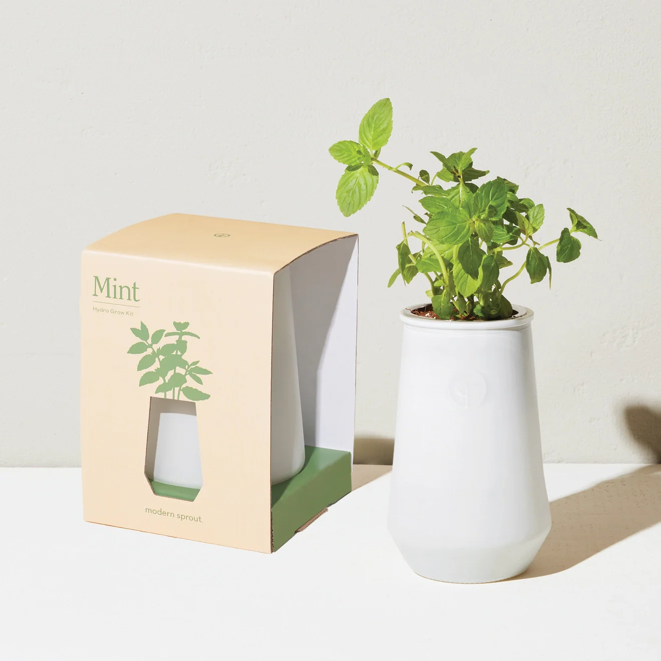 Tapered Tumbler Herb Grow Kit - Image 8