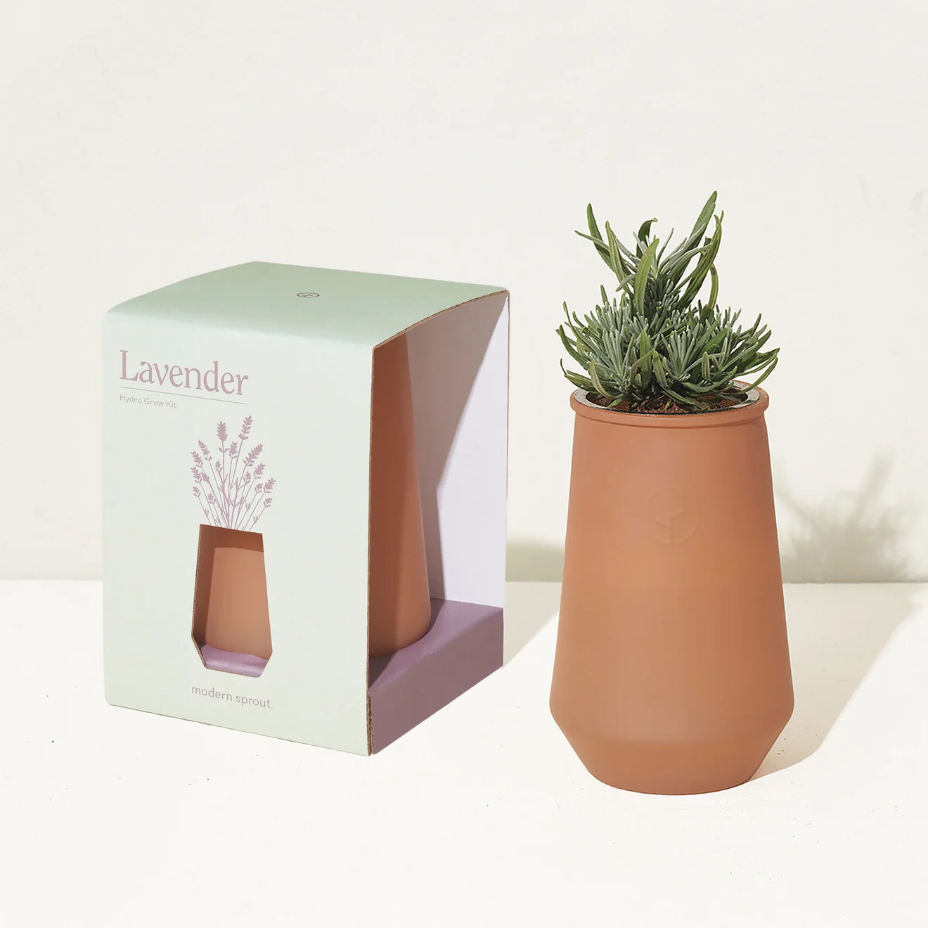 Tapered Tumbler Herb Grow Kit - Image 9