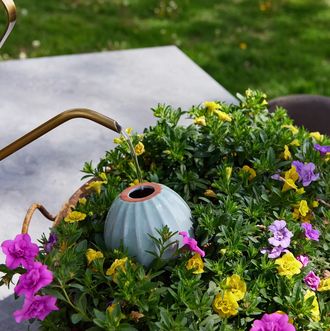 Terracotta Watering Bulb - 3 colors - Image 4