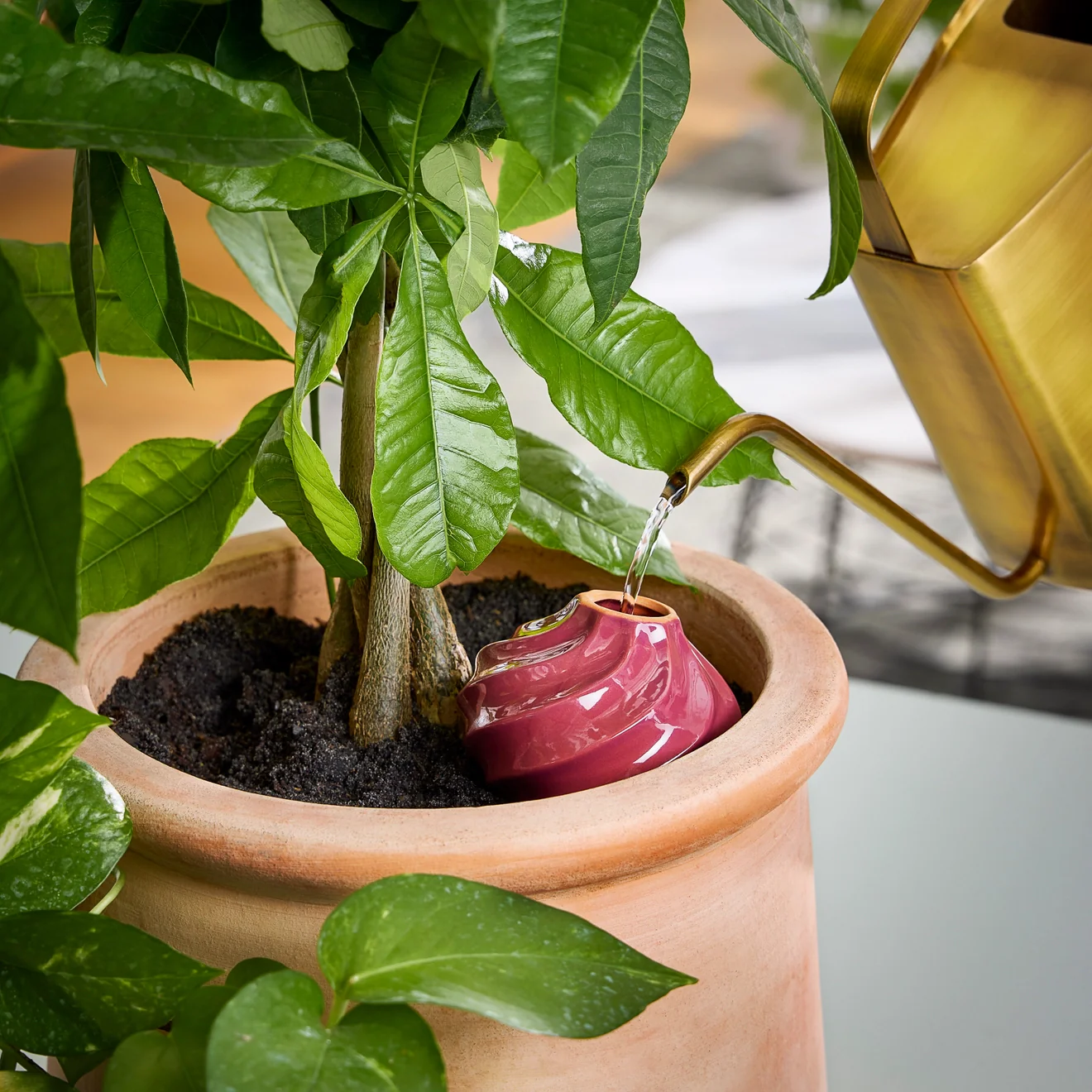 Terracotta Watering Bulb - 3 colors - Image 6