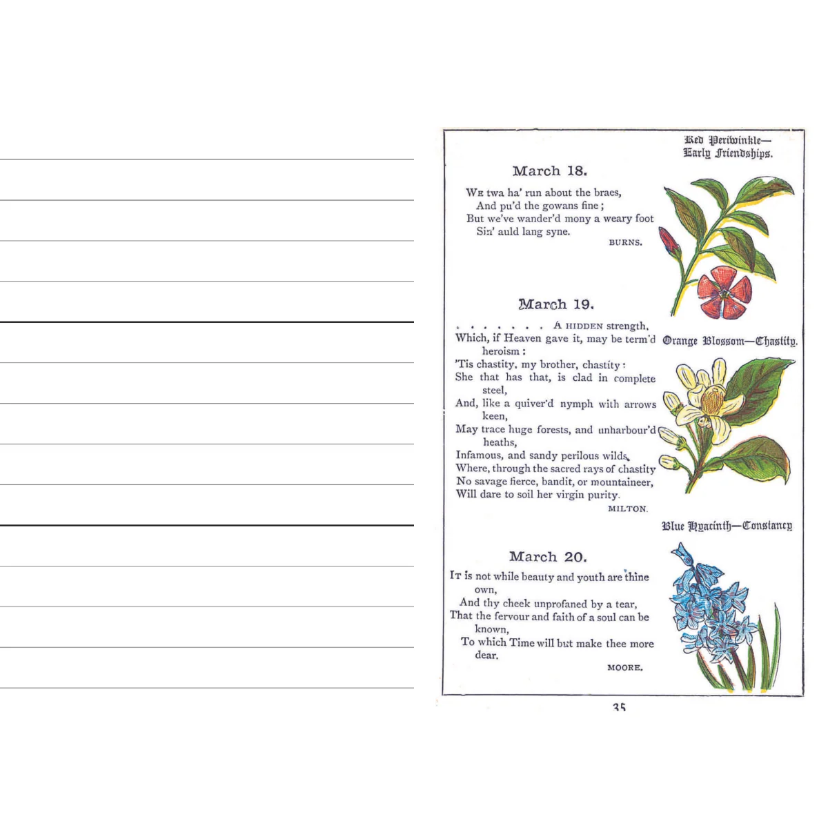 The Floral Birthday Book - Image 4