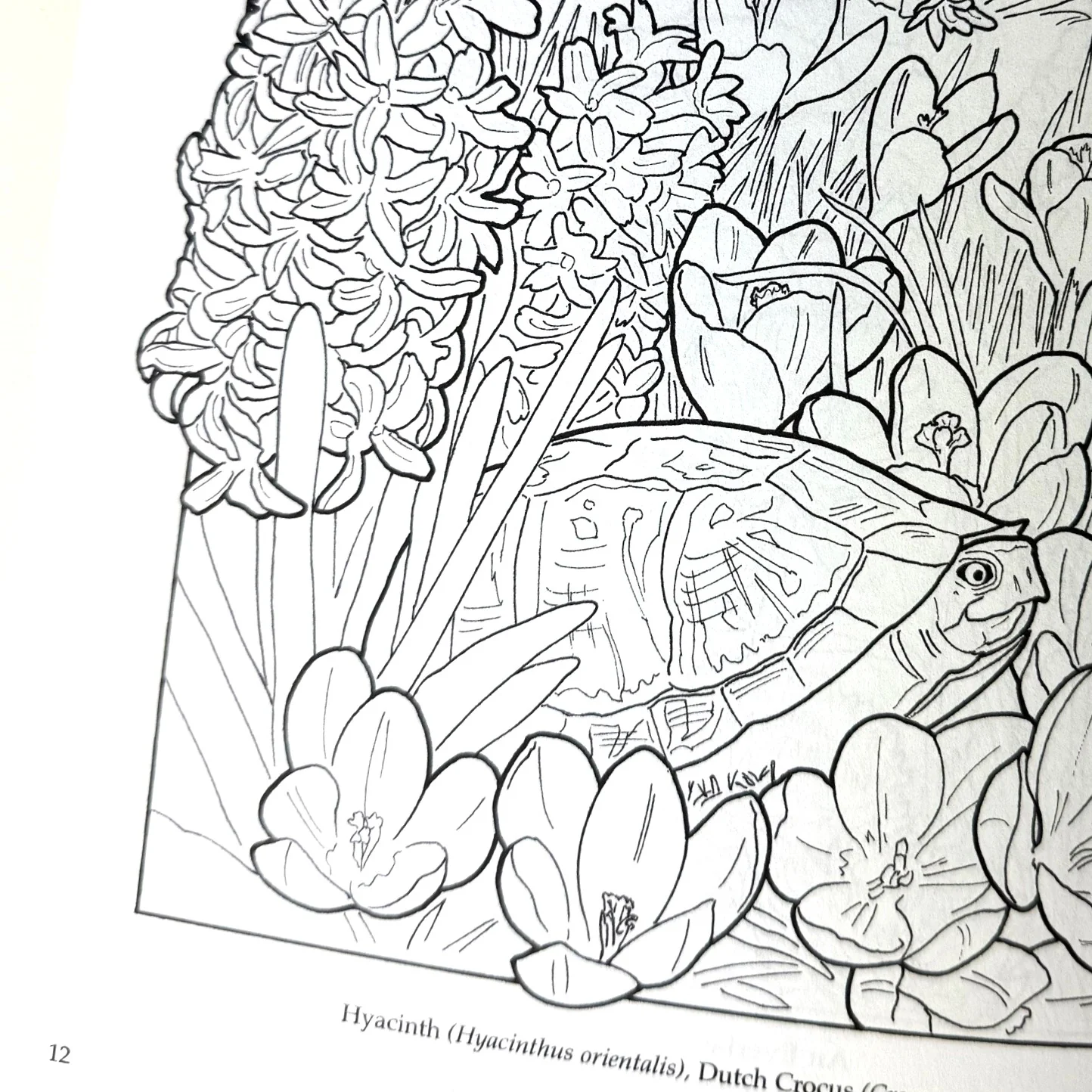 The Flower Garden Coloring Book - Image 3
