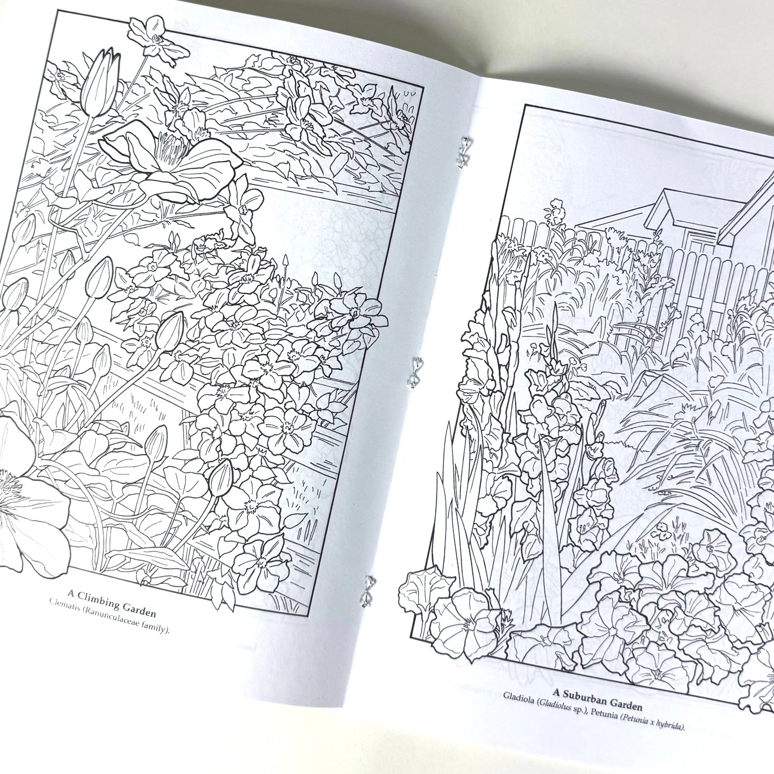 The Flower Garden Coloring Book - Image 4