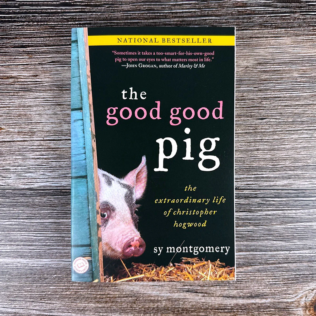The Good Good Pig - Image 3