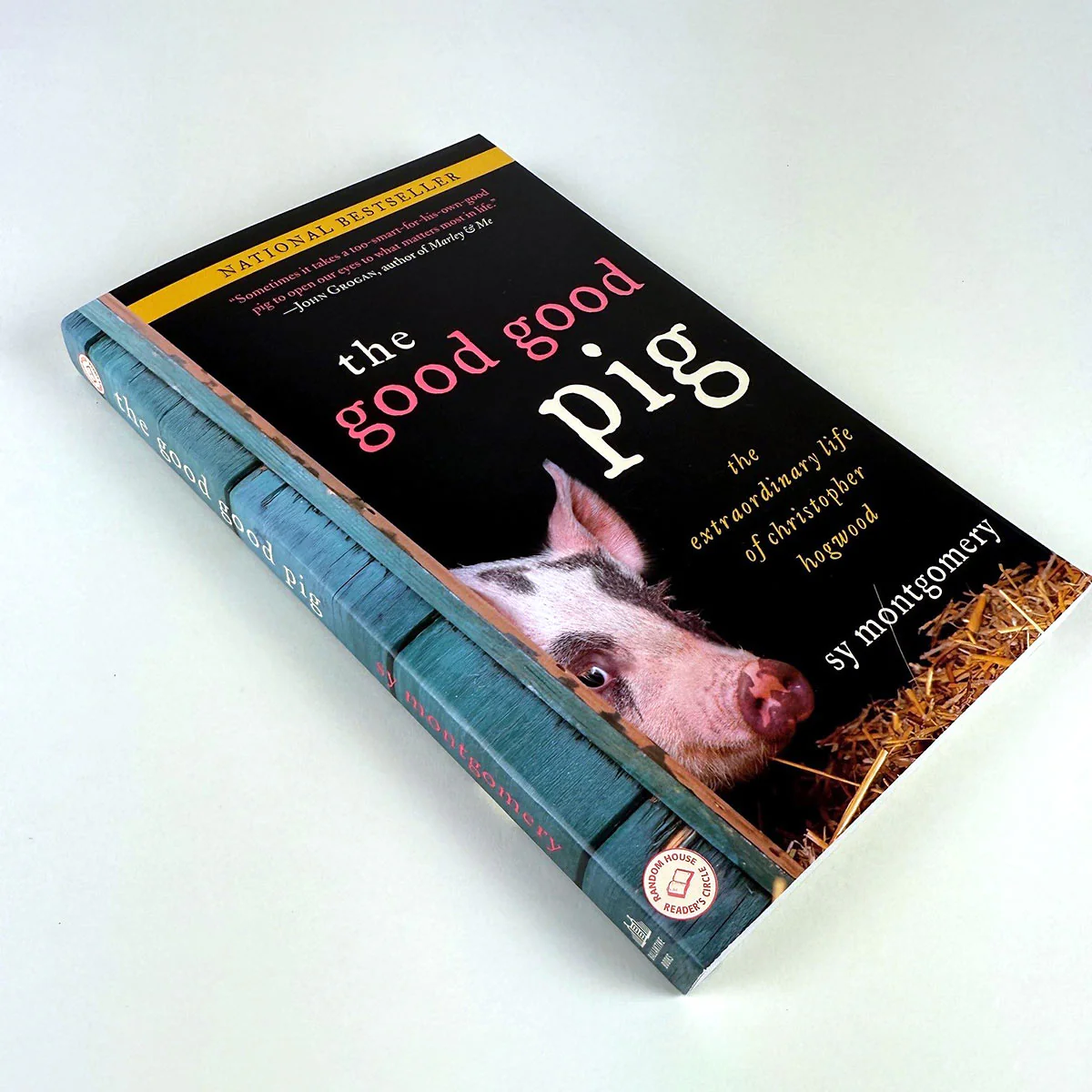 The Good Good Pig - Image 4