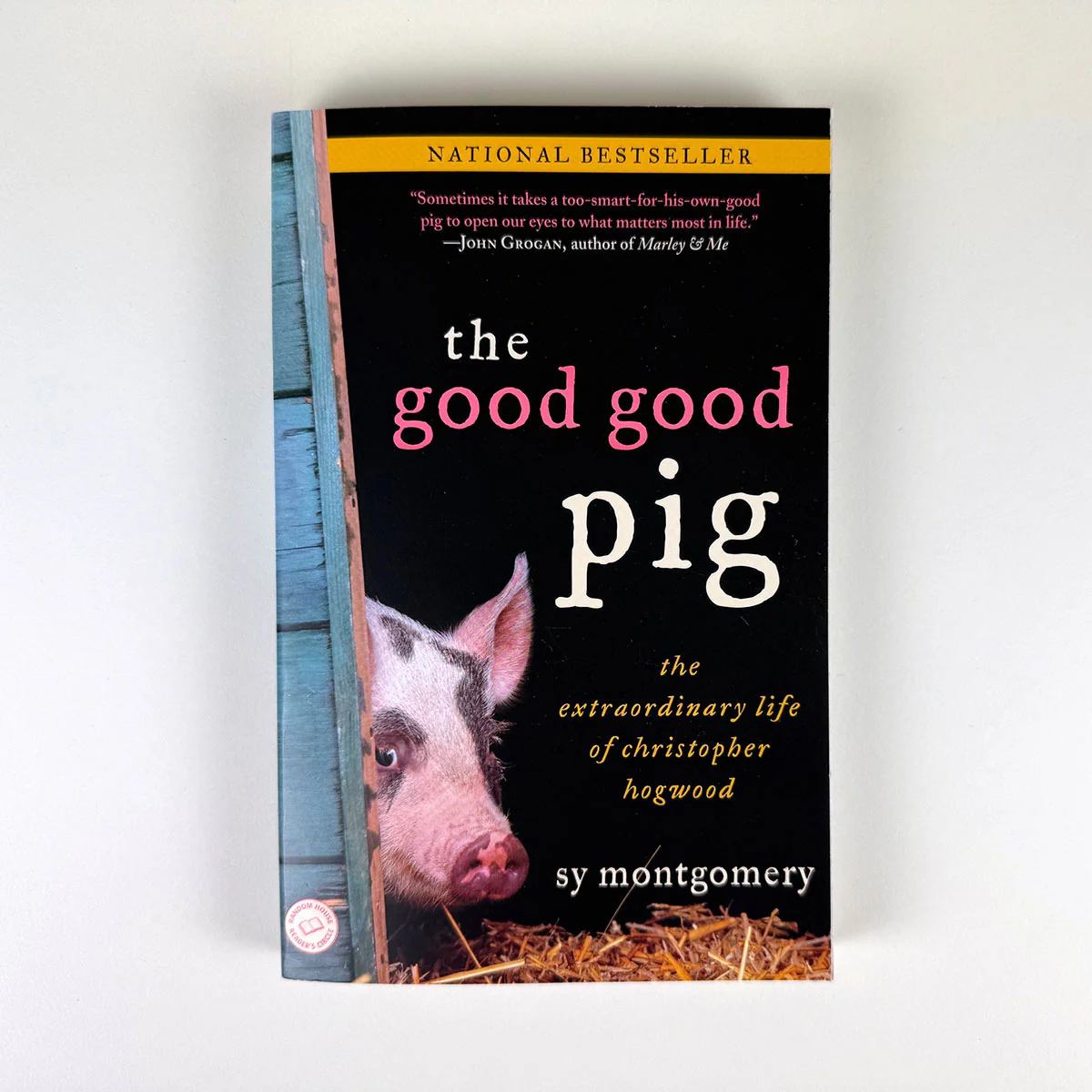 The Good Good Pig - Image 6