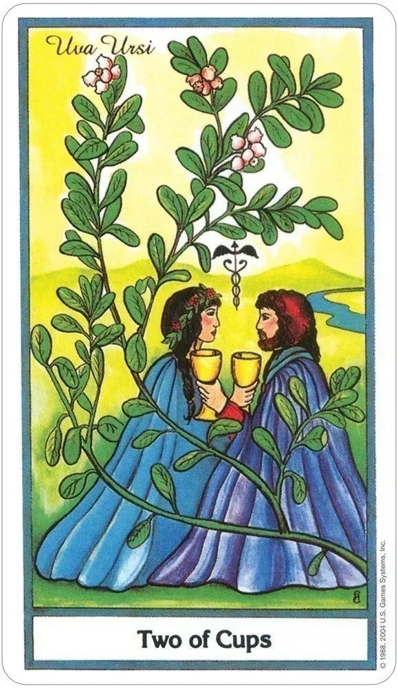 The Herbal Tarot - Image 5