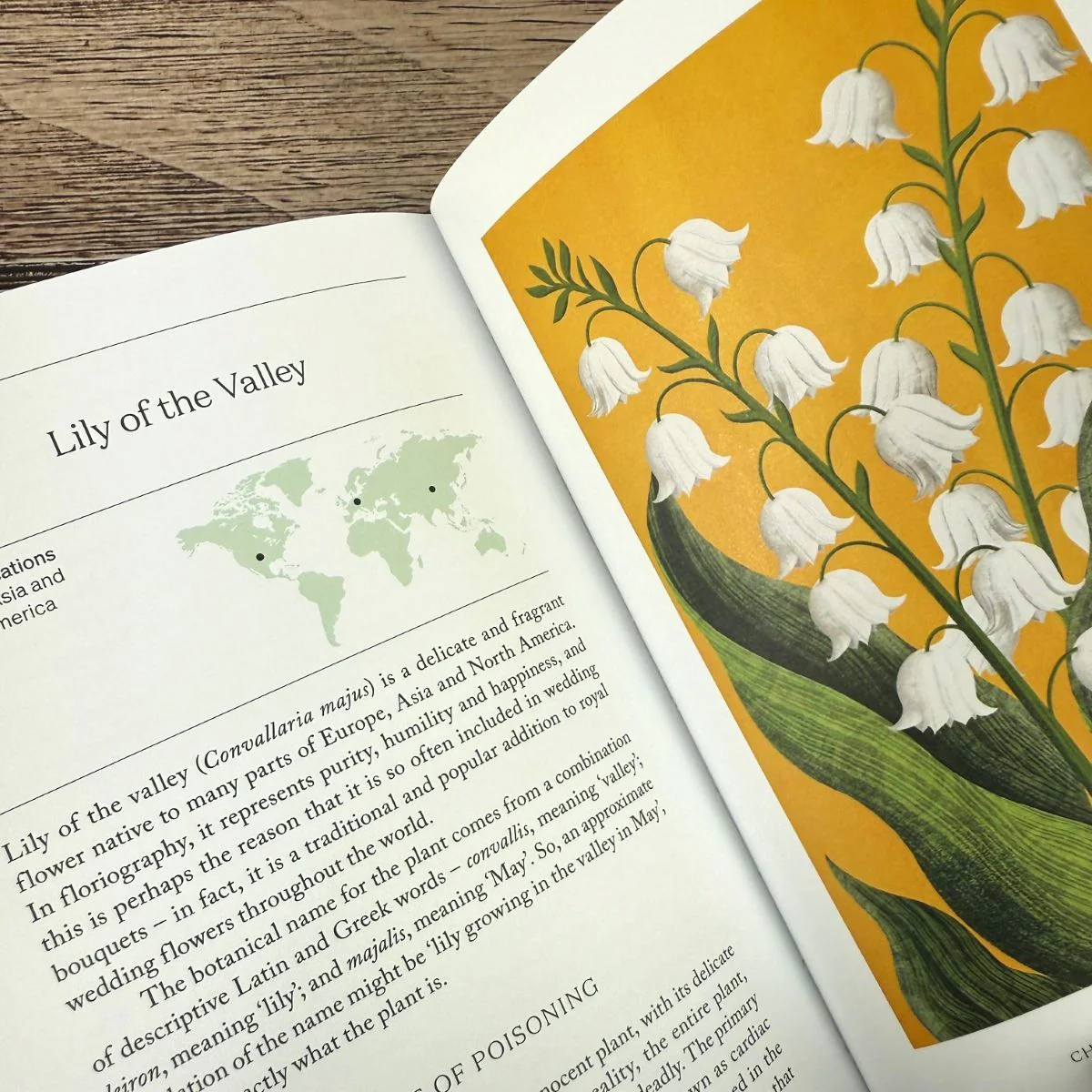 The Hidden Histories of Flowers - Image 2