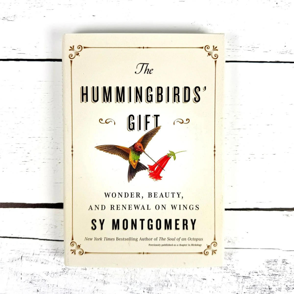 The Hummingbird's Gift - Image 3