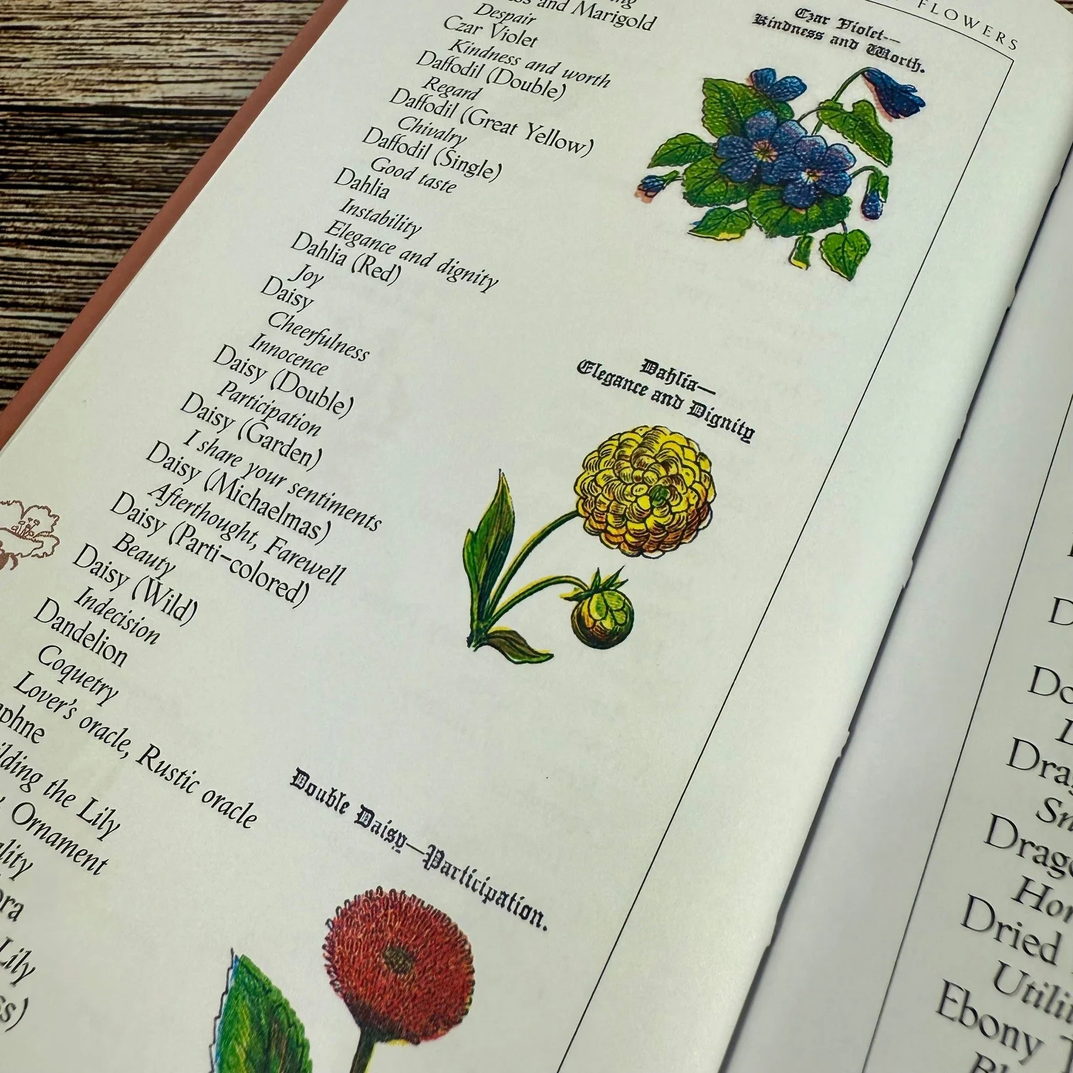 The Language and Sentiment of Flowers - Image 3