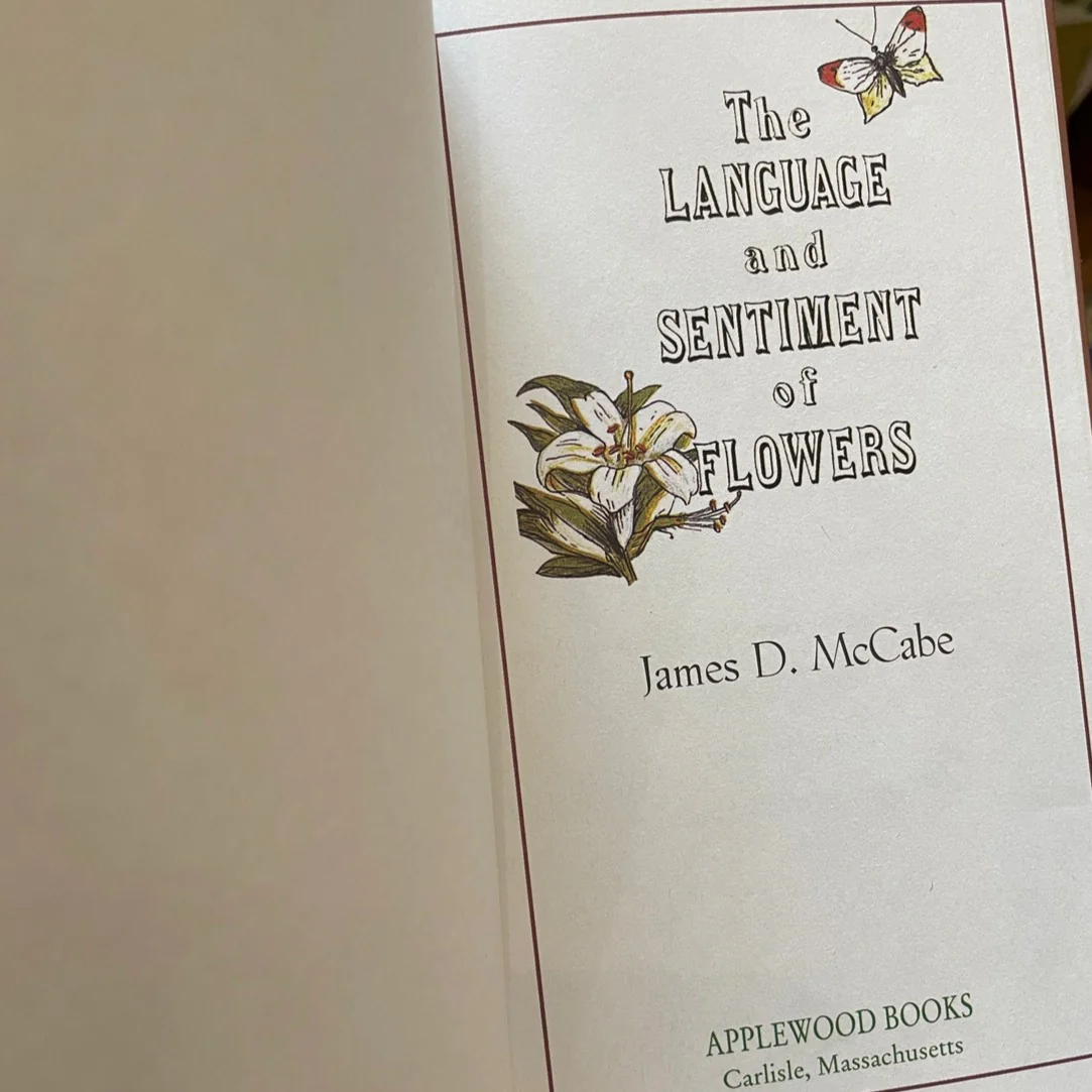 The Language and Sentiment of Flowers - Image 4