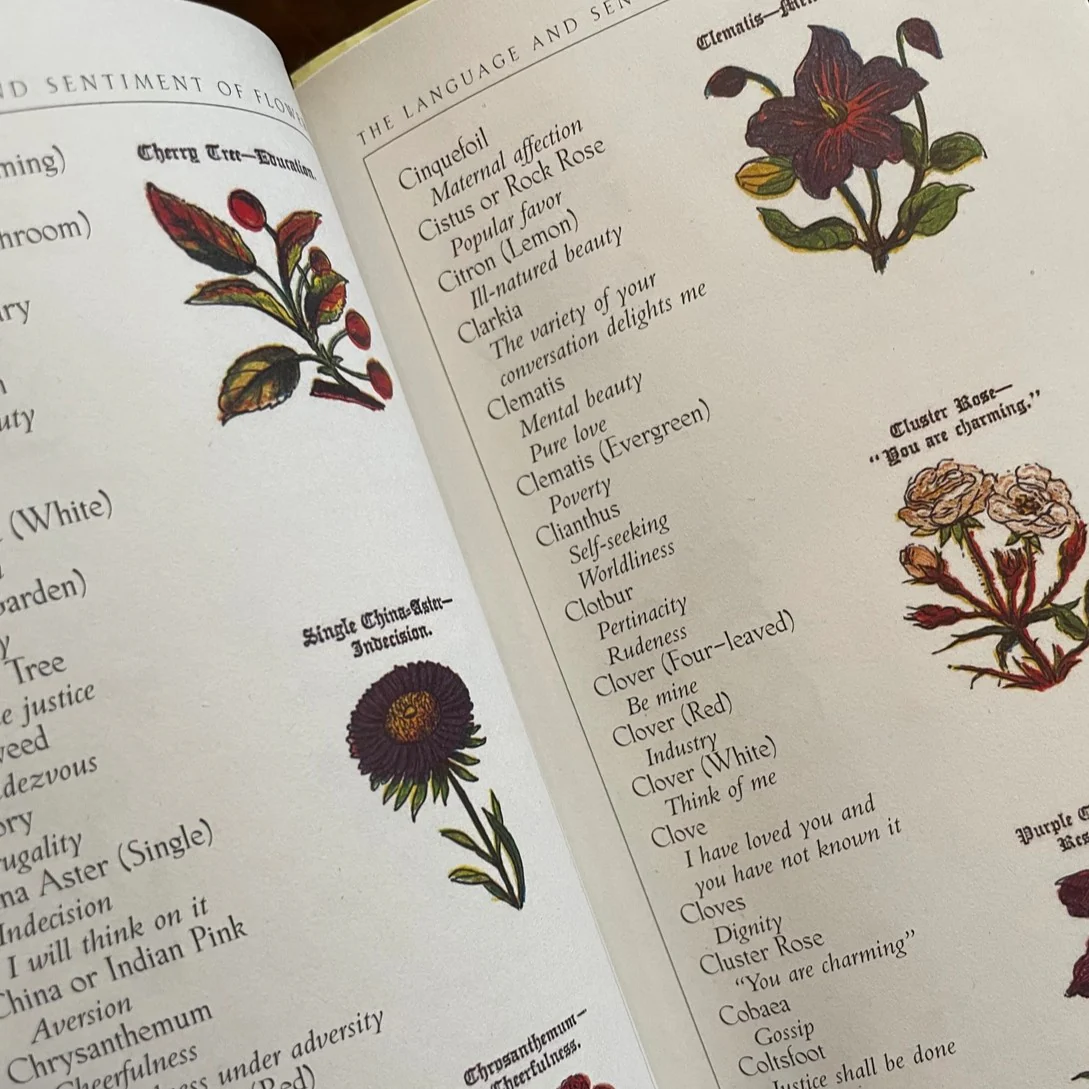 The Language and Sentiment of Flowers - Image 6