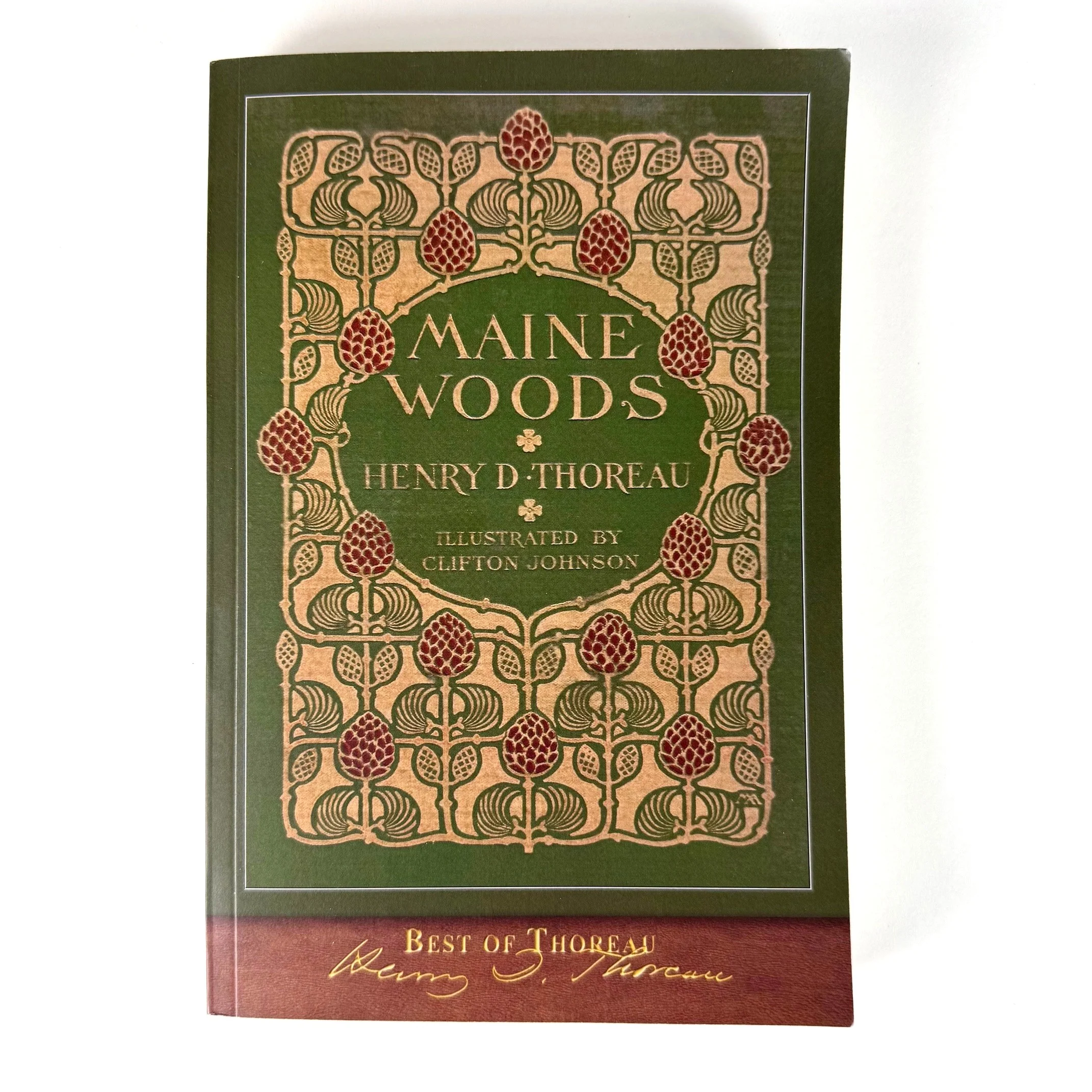 The Maine Woods - Image 5